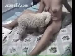 A furry small puppy licks the wet pussy of its owner.